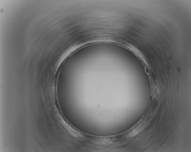 X0000062841101200601201631