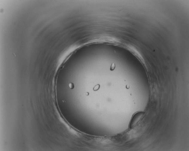 X0000062841103200601201631