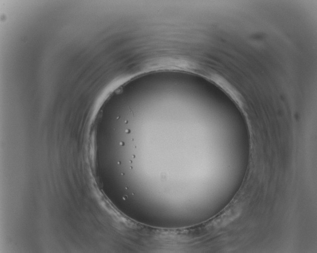 X0000062841104200601201631