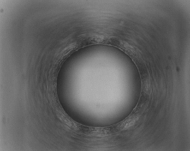 X0000062841105200601201631