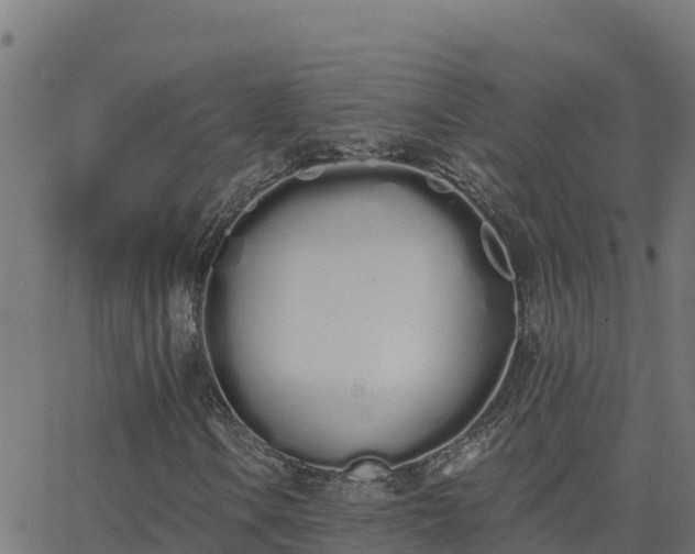 X0000062841106200601201631