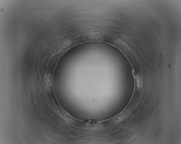 X0000062841107200601201631