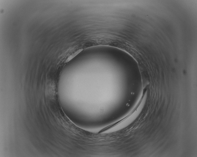 X0000062841108200601201631