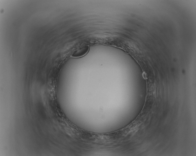 X0000062841109200601201631