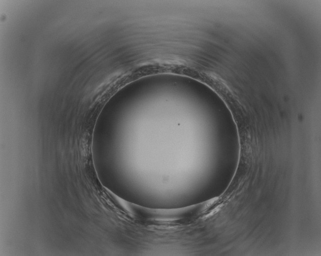 X0000062841110200601201631