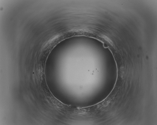 X0000062841111200601201631