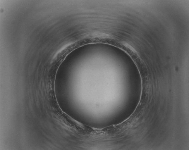 X0000062841112200601201631