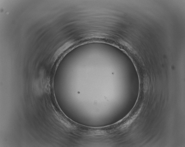 X0000062841113200601201631