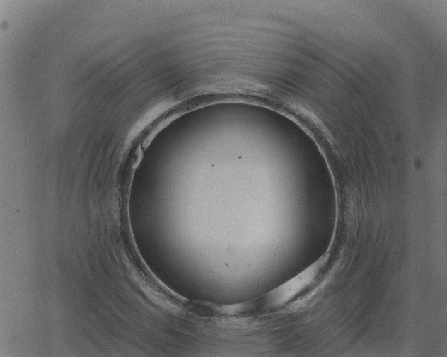 X0000062841114200601201631