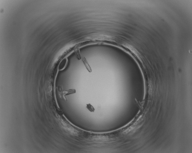 X0000062841115200601201631