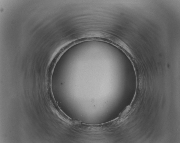 X0000062841116200601201631