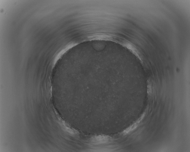 X0000062841117200601201631