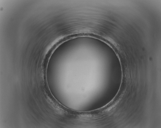 X0000062841118200601201631