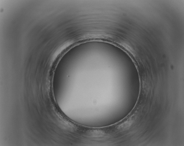 X0000062841119200601201631