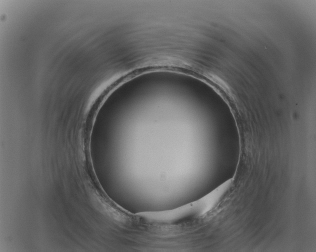 X0000062841120200601201631