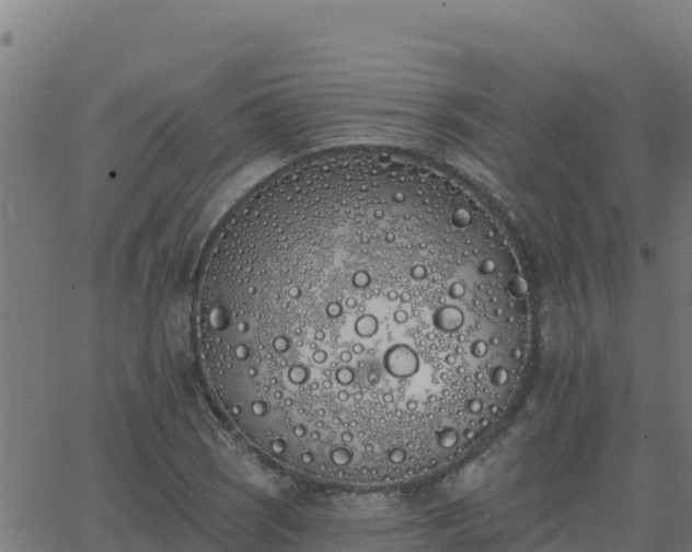 X0000062841121200601201631