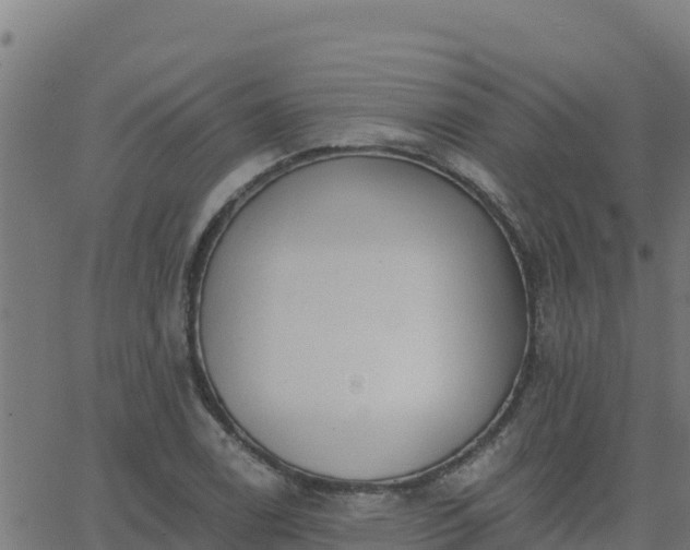 X0000062841122200601201631