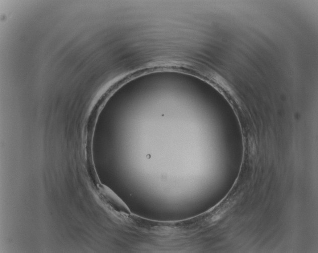 X0000062841124200601201631