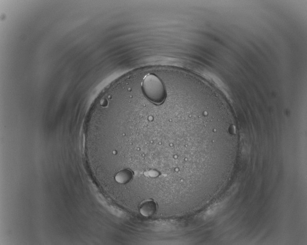 X0000062841125200601201631