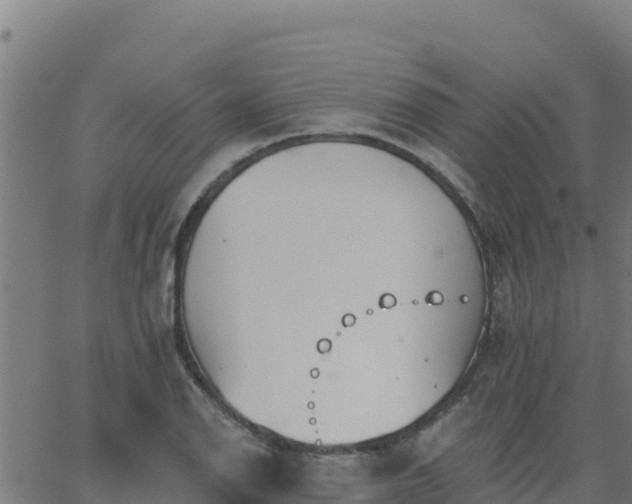 X0000062841126200601201631