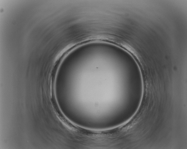 X0000062841127200601201631