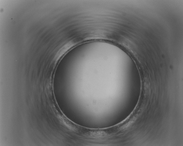 X0000062841129200601201631