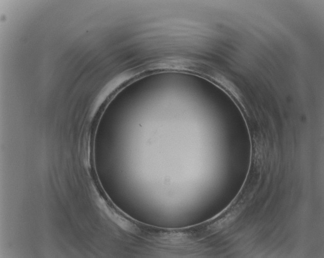 X0000062841131200601201631