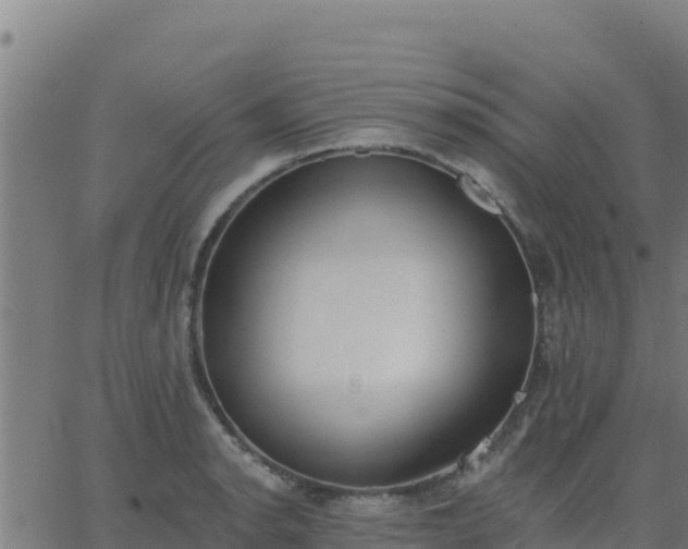 X0000062841134200601201631