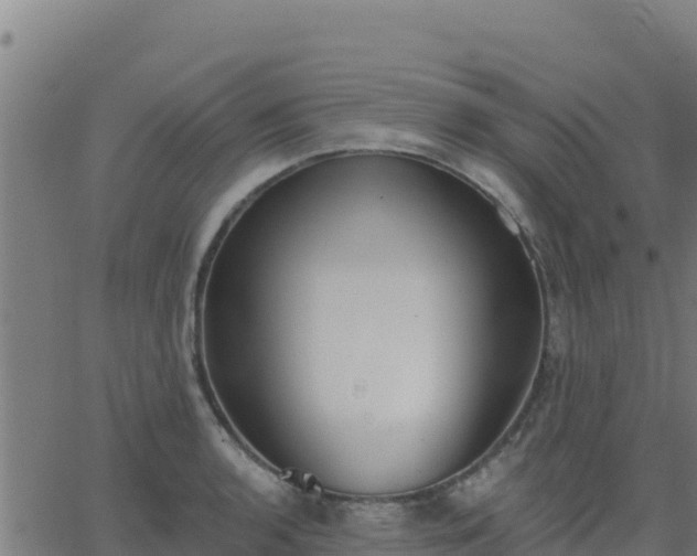 X0000062841136200601201631