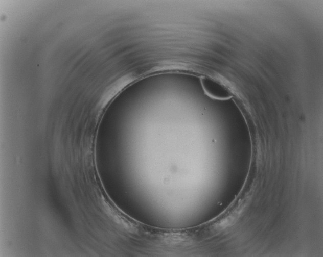 X0000062841137200601201631