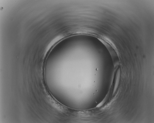 X0000062841138200601201631