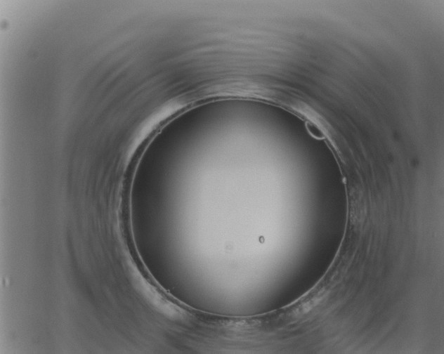 X0000062841139200601201631