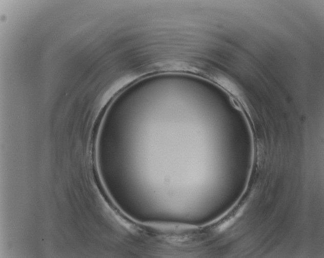 X0000062841141200601201631