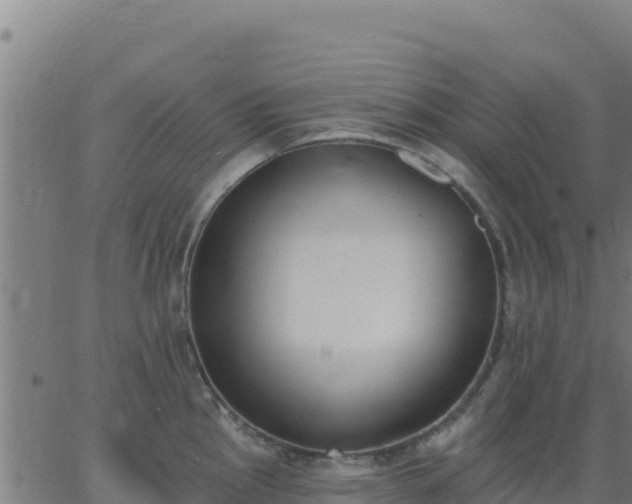 X0000062841145200601201631