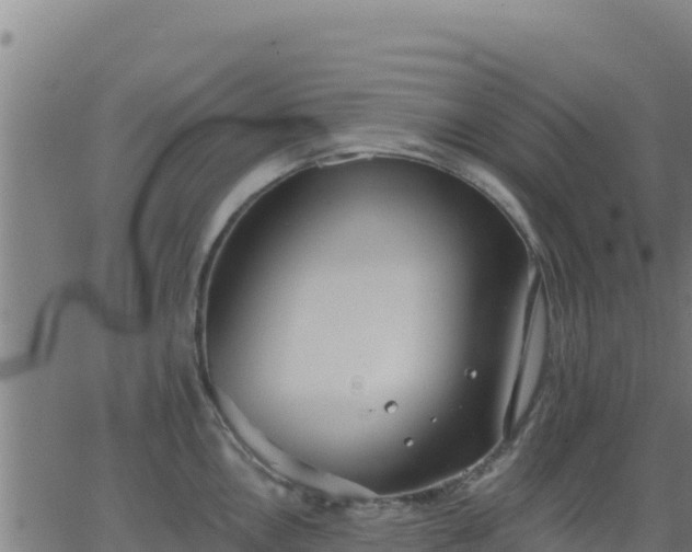 X0000062841146200601201631