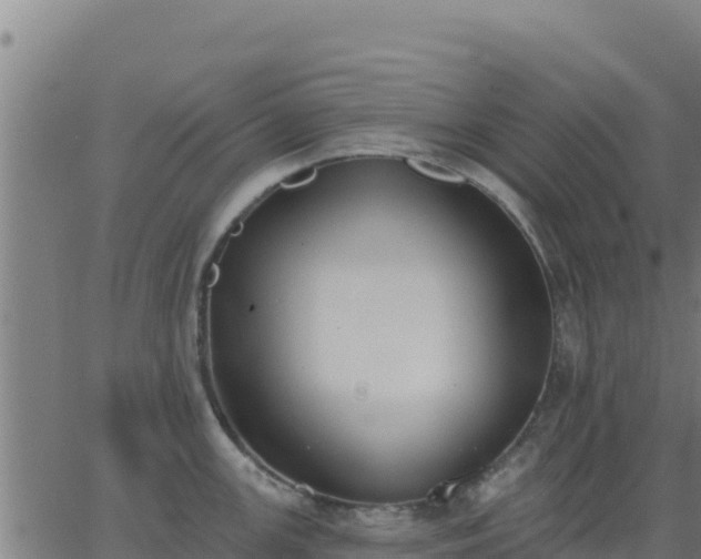 X0000062841147200601201631