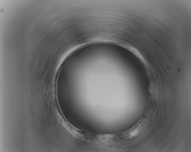 X0000062841148200601201631