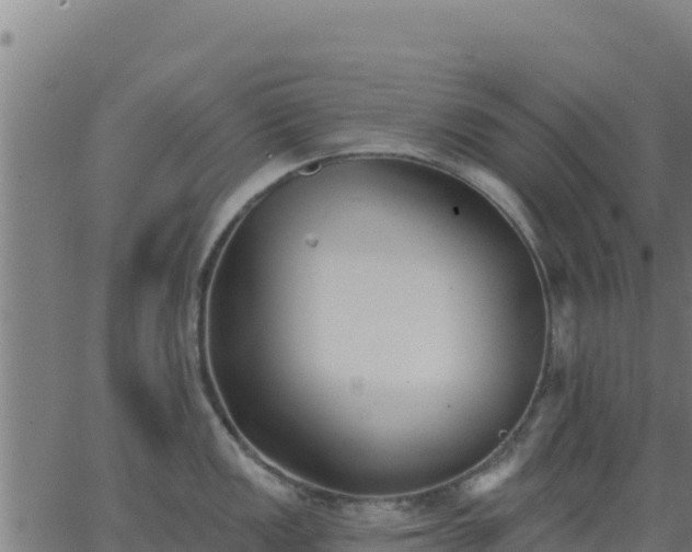 X0000062841149200601201631