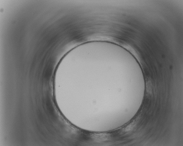 X0000062841150200601201631