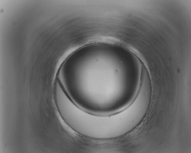 X0000062841152200601201631