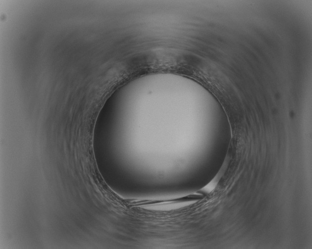 X0000062841153200601201631