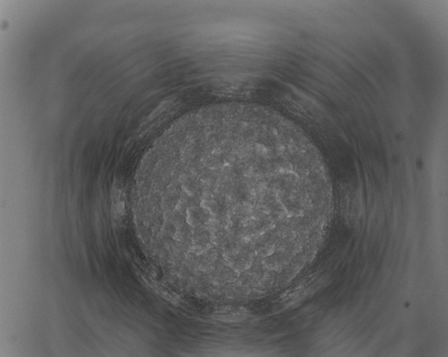 X0000062841154200601201631