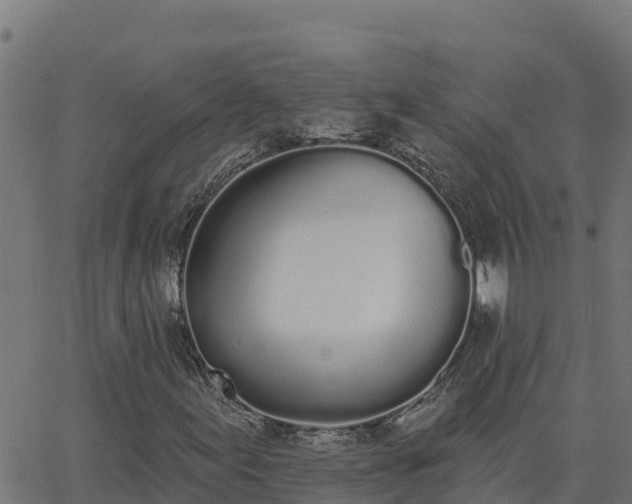 X0000062841155200601201631