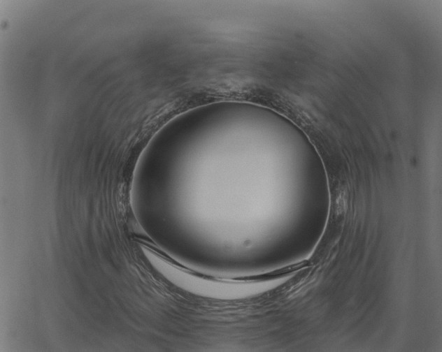 X0000062841156200601201631