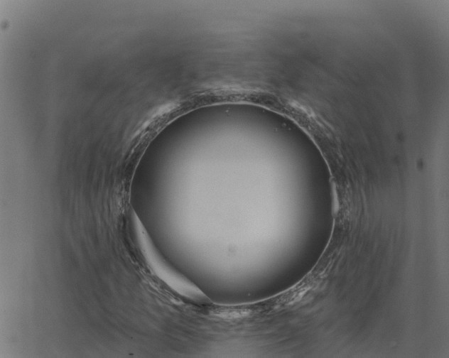 X0000062841157200601201631