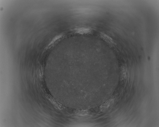 X0000062841158200601201631