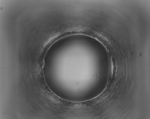 X0000062841160200601201631