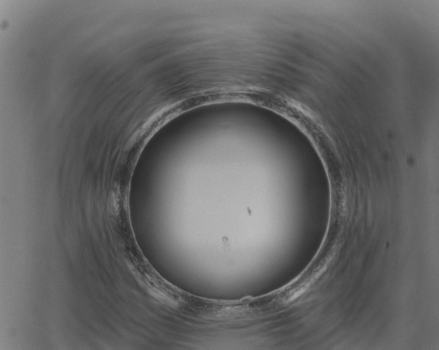 X0000062841161200601201630