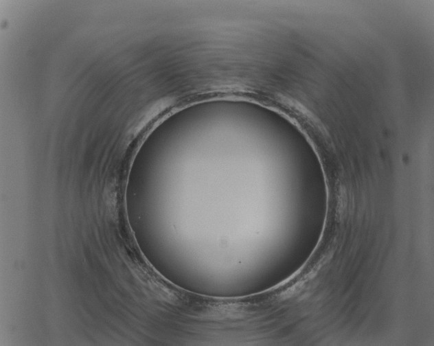 X0000062841162200601201630