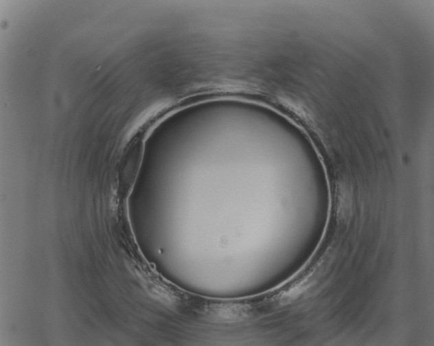 X0000062841163200601201630